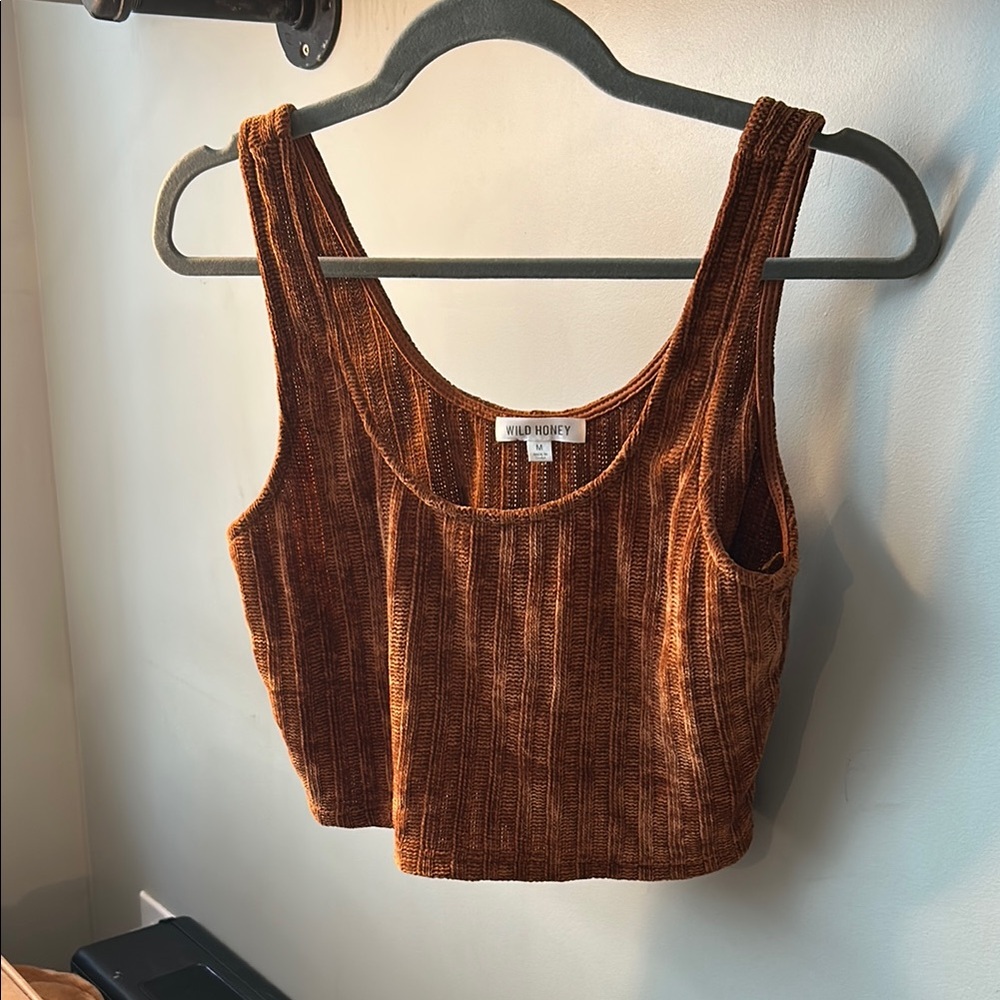 Wild Honey Brown Fitted Crop Tank Top